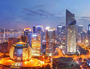 Liwei Solar Street Light-E